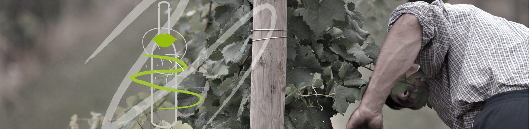 cristiana-collection-slide-3