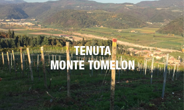 Tenuta Monte Tomelon - Cristiana Collection